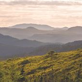 Marystown, Eastern