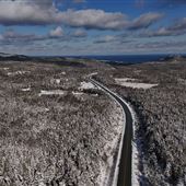 Pouch Cove Line