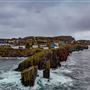 Blow Me Down, Port de Grave, Avalon