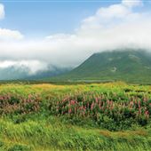 Wreckhouse, Western