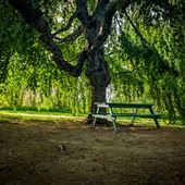 Bowring Park