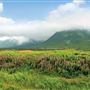 Wreckhouse, Western
