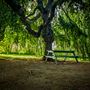 Bowring Park