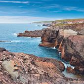 Mistaken Point Ecological Reserve Fossil Bed Area, Avalon