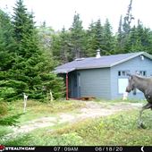 Miles Pond Cabin