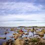 Deadman's Bay, Central