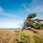 Cape Spear