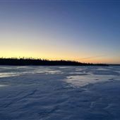Paddy's Pond