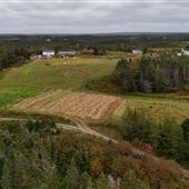 Backside Acres (Butterworths Farms)