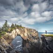 Spurwink Island Path, East Coast Trail, Avalon
