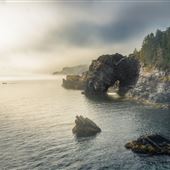 Gooseberry Cove, Eastern