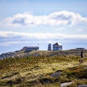 Greenspond, Central