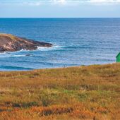 Lord's Cove, Burin