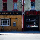 Rose & Thistle/Grapevine
