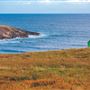 Lord's Cove, Burin