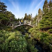 Stiles Cove, East Coast Trail, Avalon