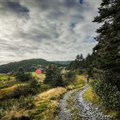 Port Kirwan, East Coast Trail, Avalon