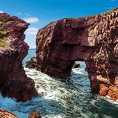 Tickle Cove