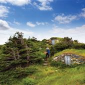 Root Cellar, Elliston