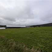 Pond View Farm, St. John's