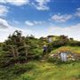 Root Cellar, Elliston