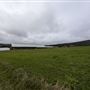 Pond View Farm, St. John's