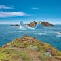 Iceberg at Crow Head, Central