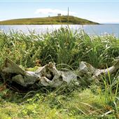 Boney Shore Trail, Red Bay, Labrador