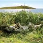 Boney Shore Trail, Red Bay, Labrador