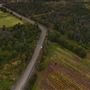 Heavy Tree Road
